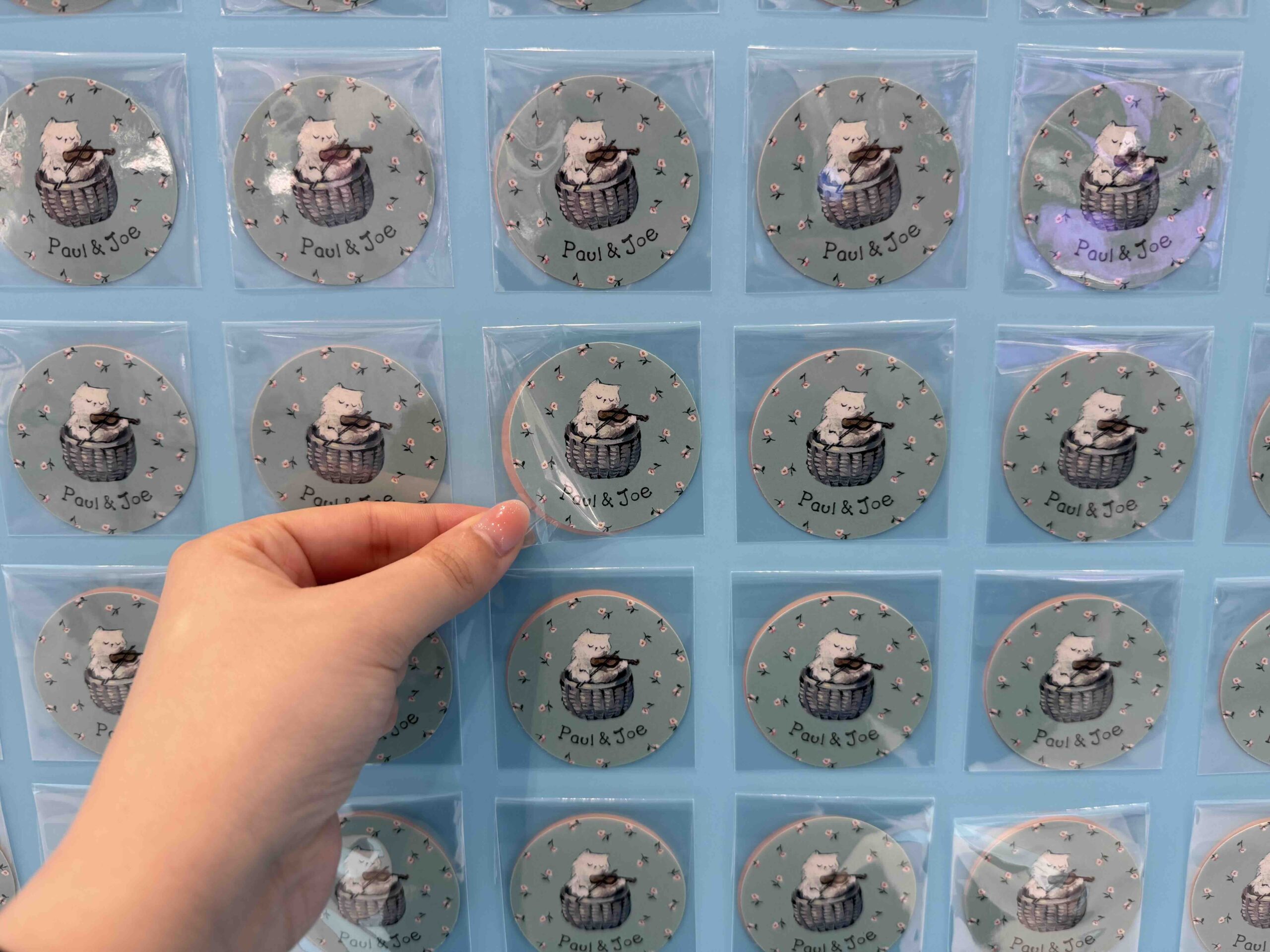 @cosmepopup_paul&joe