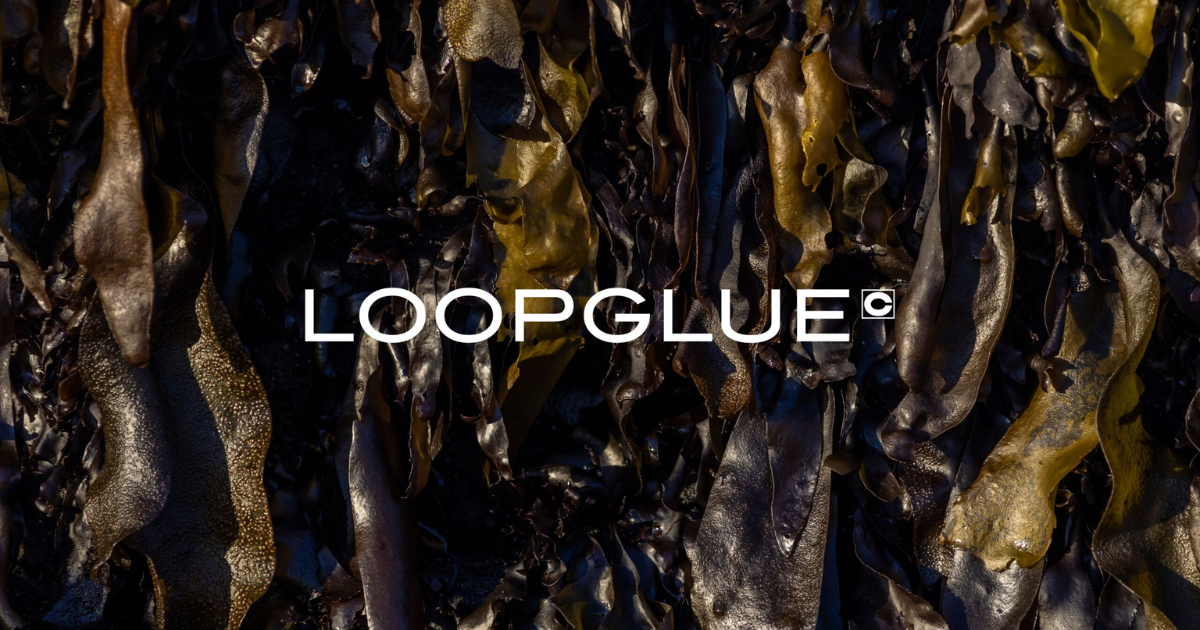 （後編）「接着」からデザインを問い直し、循環型イベントの実現を目指す海藻由来の接着剤「LOOPGLUE」開発ストーリー